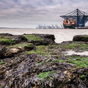 Landguard Group Workshop