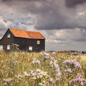 Walberswick, Suffolk