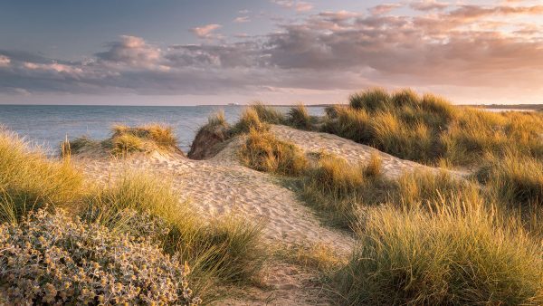 Walberswick, Suffolk