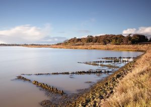 River Deben Workshop