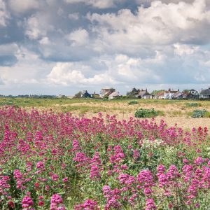 Shingle Street Workshop