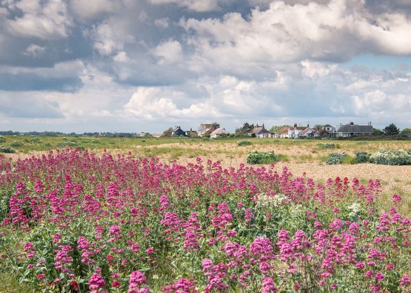 Shingle Street Workshop